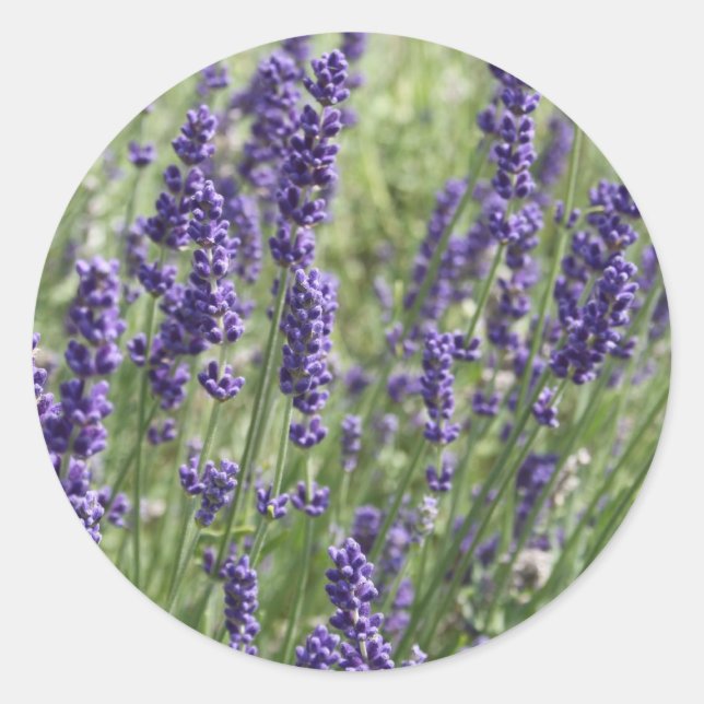 Lavender Flowers Stickers (Front)