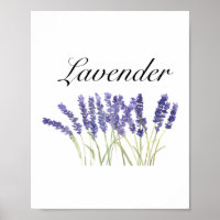 Lavender flowers watercolor herbs purple chic