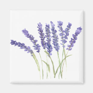 Lavender flowers watercolor rustic herbs  magnet