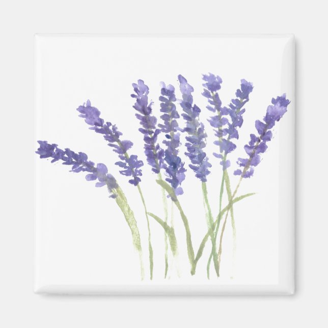 Lavender flowers watercolor rustic herbs  magnet (Front)