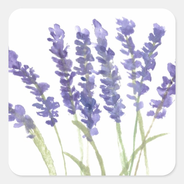 Lavender flowers watercolor rustic herbs square sticker (Front)