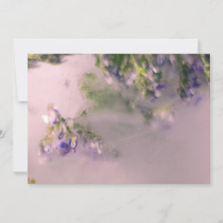 Lavender Frost Holiday Card