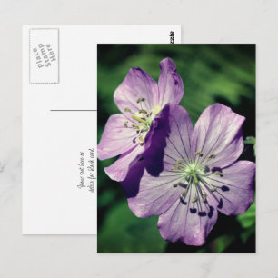 Lavender Geranium Flowers Personalised Postcard