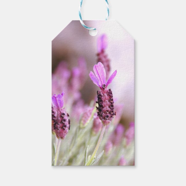 Lavender Gift Tag (Front)