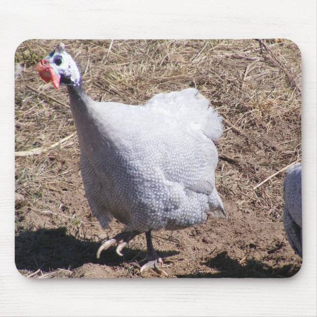 Lavender Guinea Fowl Mouse Pad (Front)