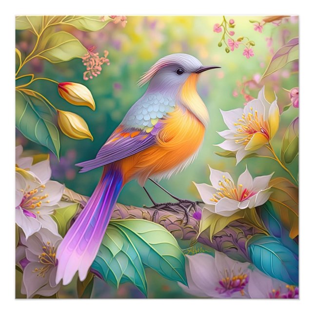 Lavender Headed Orange Breasted Fantasy Bird Photo Print (Front)