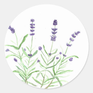 Lavender herb botanical print classic round sticker