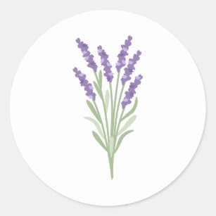 Lavender Herb Classic Round Sticker