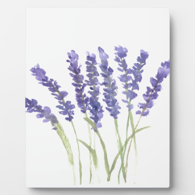 Lavender herb floral botanical rustic elegant chic plaque (Front)