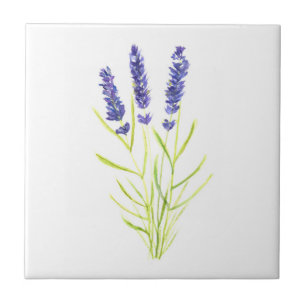 Lavender herb plant Purple floral Greenery  Ceramic Tile