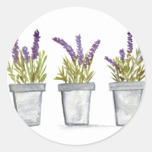 Lavender herb pots watercolor flowers purple chic classic round sticker