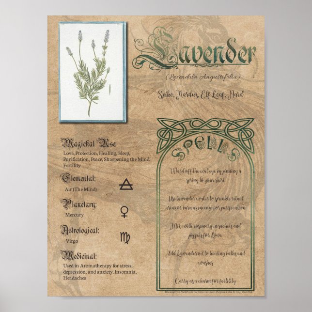 Lavender Herbal Book of Shadows Pagan Wiccan Poster (Front)