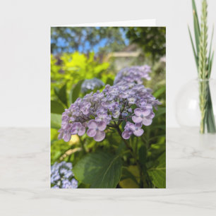 Lavender Hydrangea Blossoms Card