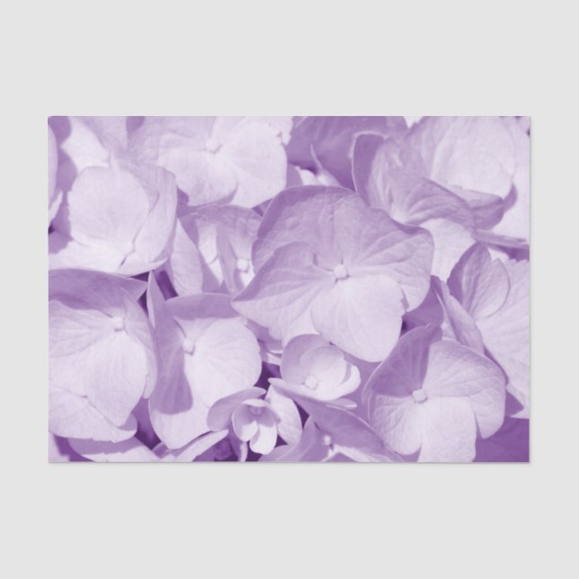 Lavender Hydrangea Pattern Tissue Paper (Front)
