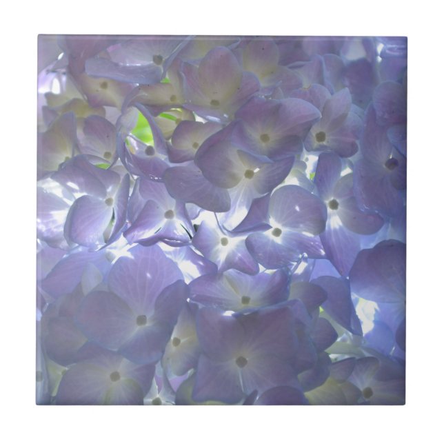 Lavender Hydrangeas Ceramic Tile (Front)