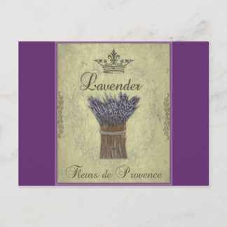 Lavender Illustration no 2 Postcard