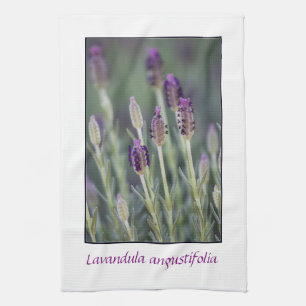 Lavender in Bloom Tea Towel