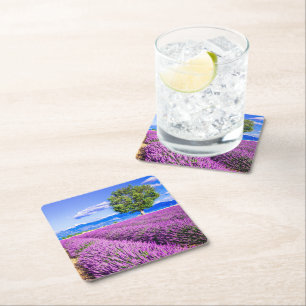 Lavender in Provence Square Paper Coaster