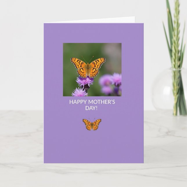 Lavender Insect Photo Card (Front)