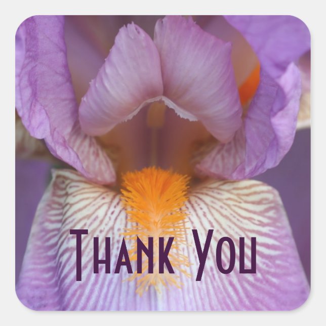 Lavender Iris Petal Flower Thank You Square Sticker (Front)