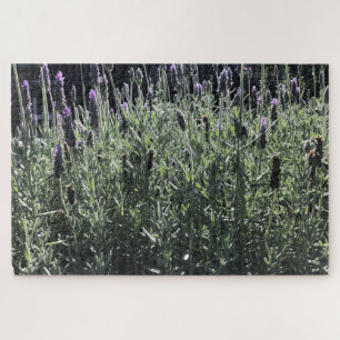 lavender jigsaw puzzle
