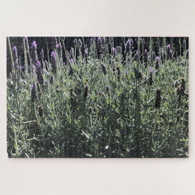 lavender jigsaw puzzle (Horizontal)
