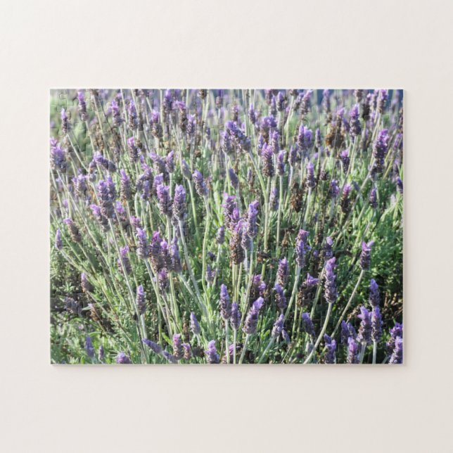 Lavender Jigsaw Puzzle (Horizontal)