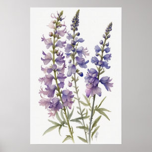 Lavender Larkspur Flower Art Print Poster
