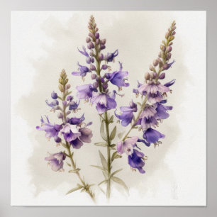 Lavender Larkspur Flower Art Print Poster