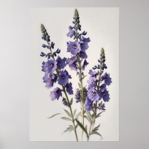Lavender Larkspur Flower Art Print Poster