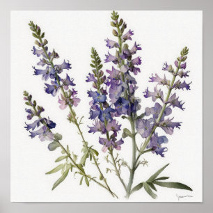 Lavender Larkspur Flower Art Print Poster