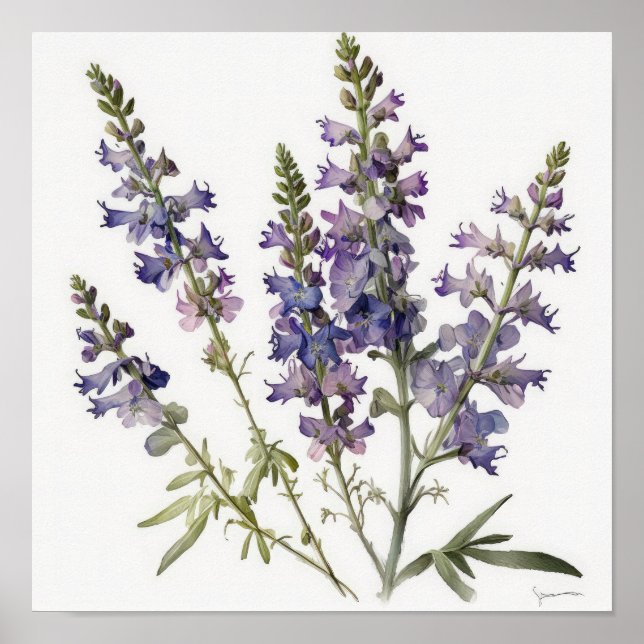 Lavender Larkspur Flower Art Print Poster (Front)