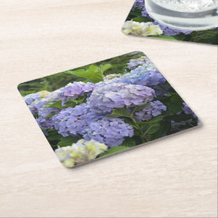 Lavender & Lilac Hortensia Hydrangea Flowers Square Paper Coaster
