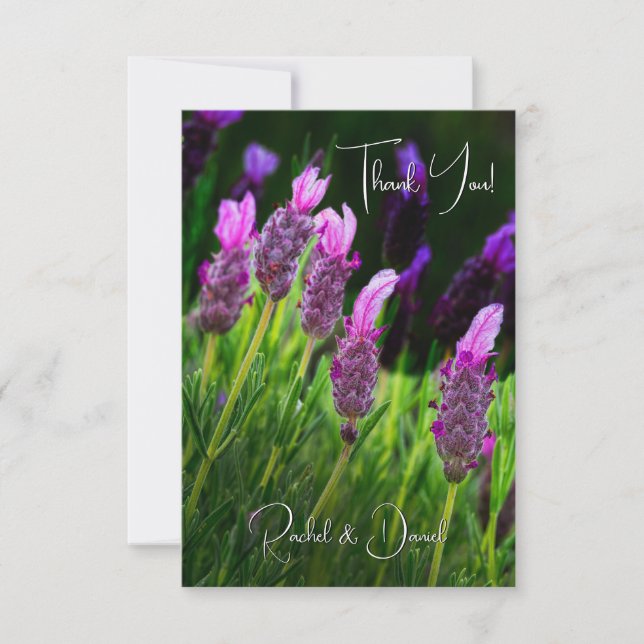 Lavender, Love & Devotion, Wedding Thank You Card (Front)