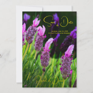 Lavender, Love & Devotion Yellow, Save the Date, Invitation