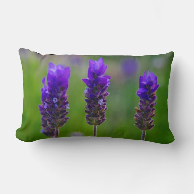 lavender lumbar cushion (Front)