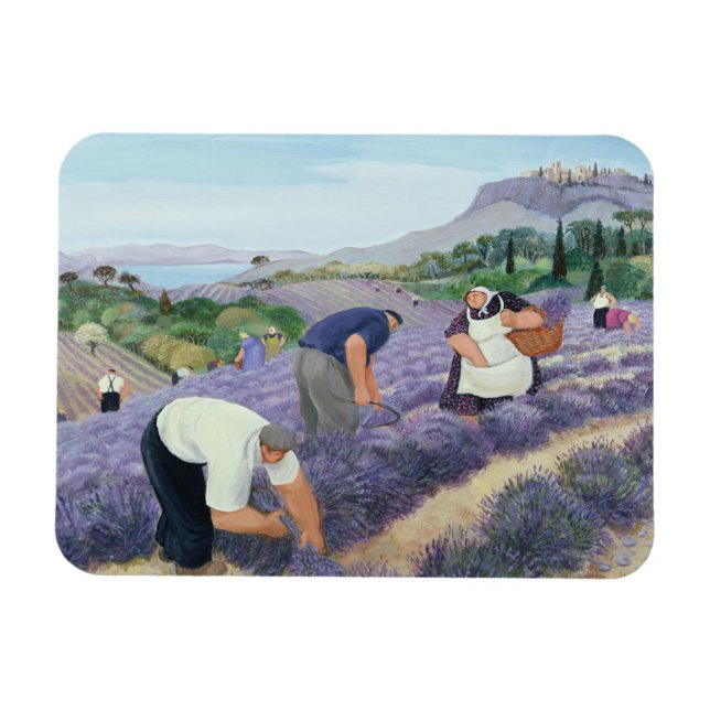 Lavender Magnet (Horizontal)
