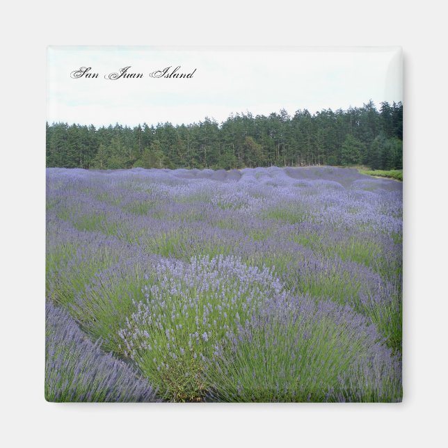 Lavender Magnet (Front)