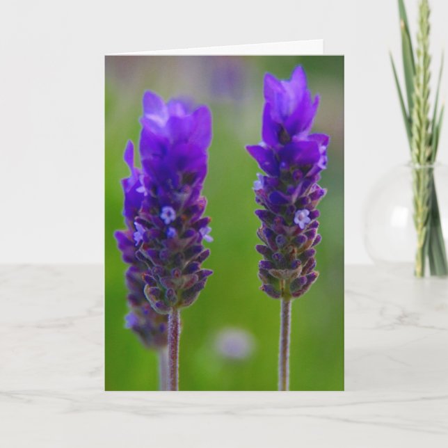 lavender mum love card (Front)