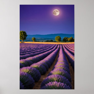 Lavender Nature Outdoors Landscape Calm Peaceful Poster