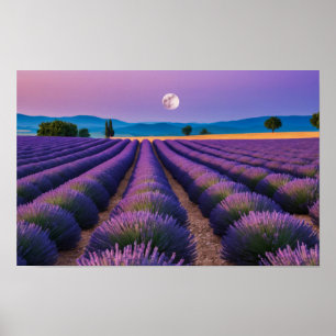 Lavender Nature Outdoors Landscape Calm Peaceful Poster