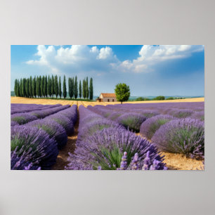 Lavender Nature Outdoors Landscape Calm Peaceful Poster