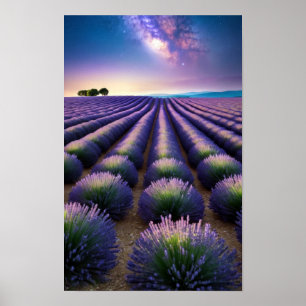 Lavender Nature Outdoors Landscape Calm Peaceful Poster