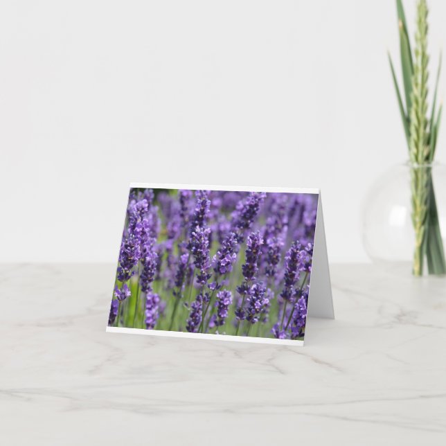 Lavender notecard (Front)