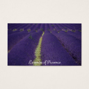 Lavender of Provence