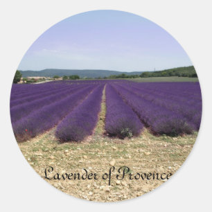 Lavender of Provence Classic Round Sticker