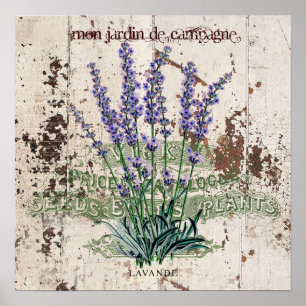 Lavender on rustic wooden panel poster
