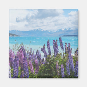 lavender on the lake shore magnet