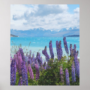 lavender on the lake shore poster
