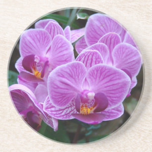 Lavender Orchid Coaster